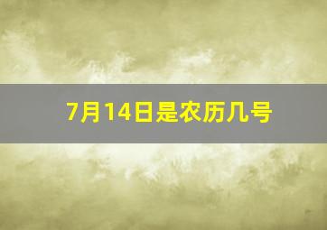 7月14日是农历几号