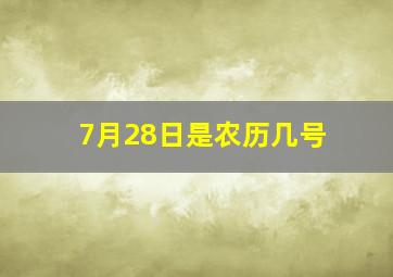 7月28日是农历几号