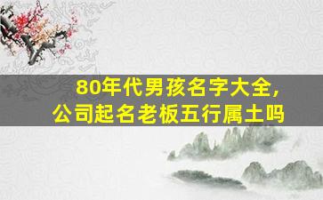 80年代男孩名字大全,公司起名老板五行属土吗