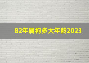 82年属狗多大年龄2023