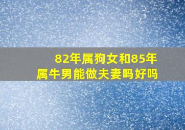 82年属狗女和85年属牛男能做夫妻吗好吗