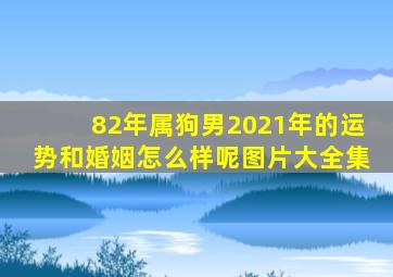 82年属狗男2021年的运势和婚姻怎么样呢图片大全集