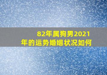 82年属狗男2021年的运势婚姻状况如何