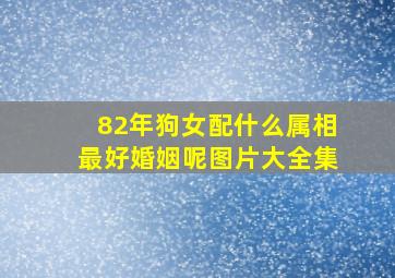 82年狗女配什么属相最好婚姻呢图片大全集