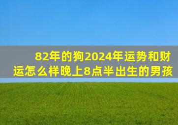 82年的狗2024年运势和财运怎么样晚上8点半出生的男孩