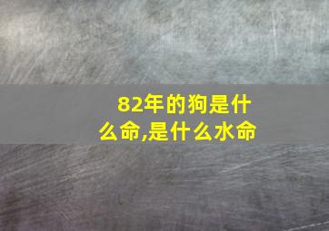 82年的狗是什么命,是什么水命