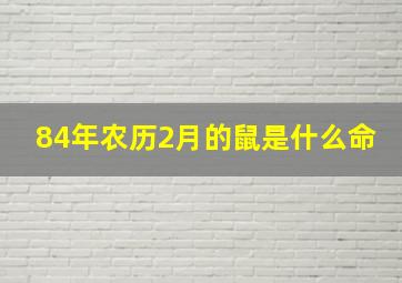 84年农历2月的鼠是什么命