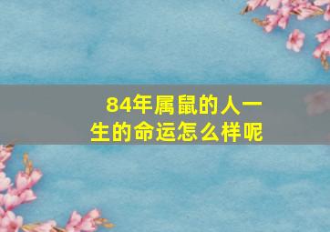 84年属鼠的人一生的命运怎么样呢