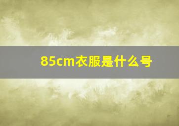 85cm衣服是什么号