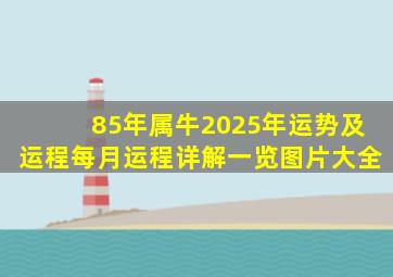 85年属牛2025年运势及运程每月运程详解一览图片大全