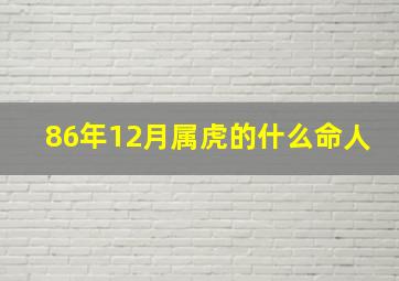 86年12月属虎的什么命人