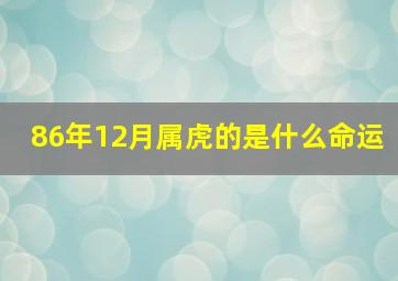 86年12月属虎的是什么命运