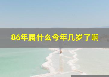 86年属什么今年几岁了啊