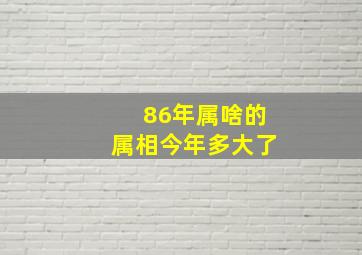 86年属啥的属相今年多大了