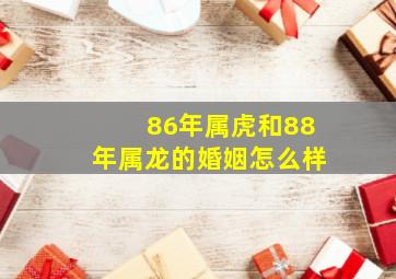 86年属虎和88年属龙的婚姻怎么样