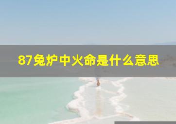 87兔炉中火命是什么意思