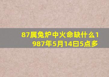 87属兔炉中火命缺什么1987年5月14曰5点多