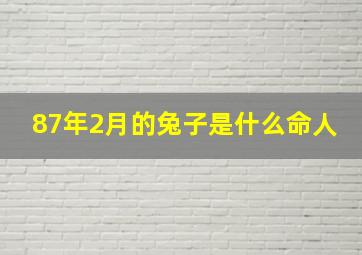 87年2月的兔子是什么命人