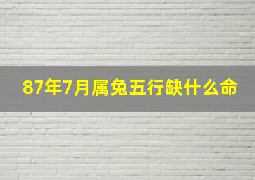 87年7月属兔五行缺什么命