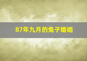 87年九月的兔子婚姻