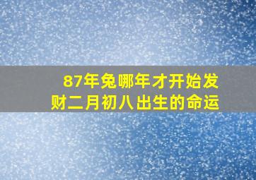 87年兔哪年才开始发财二月初八出生的命运