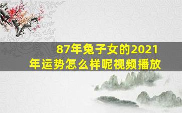 87年兔子女的2021年运势怎么样呢视频播放