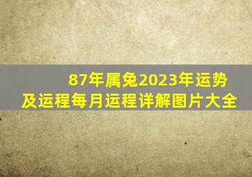 87年属兔2023年运势及运程每月运程详解图片大全