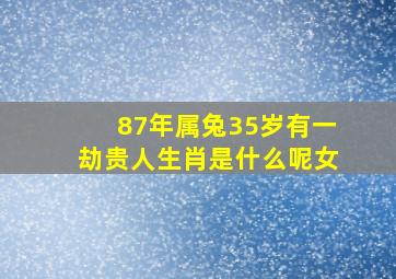 87年属兔35岁有一劫贵人生肖是什么呢女