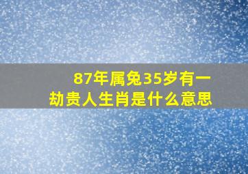 87年属兔35岁有一劫贵人生肖是什么意思