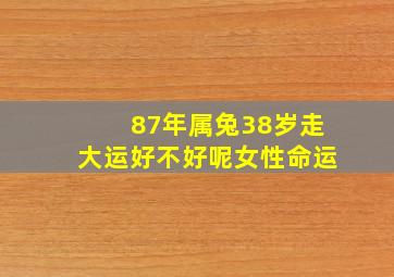 87年属兔38岁走大运好不好呢女性命运