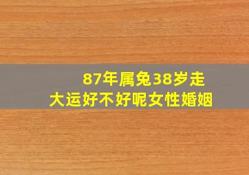 87年属兔38岁走大运好不好呢女性婚姻