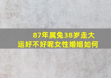 87年属兔38岁走大运好不好呢女性婚姻如何