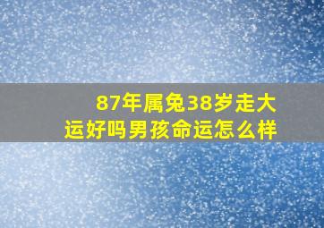 87年属兔38岁走大运好吗男孩命运怎么样