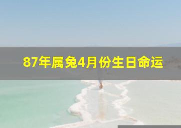 87年属兔4月份生日命运