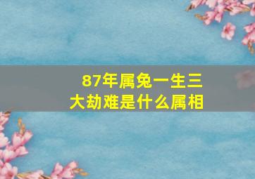 87年属兔一生三大劫难是什么属相