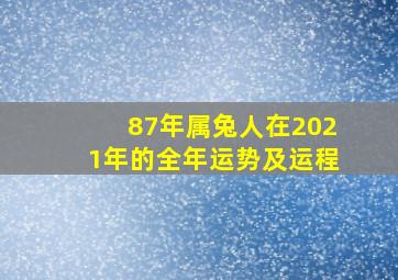 87年属兔人在2021年的全年运势及运程