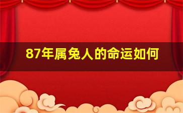 87年属兔人的命运如何