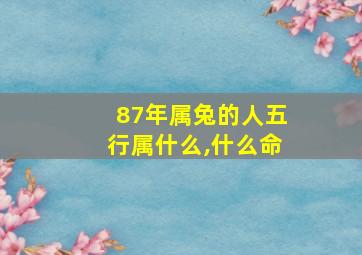 87年属兔的人五行属什么,什么命