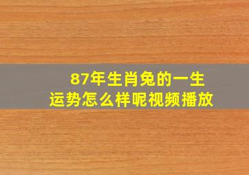 87年生肖兔的一生运势怎么样呢视频播放