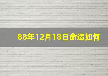 88年12月18日命运如何