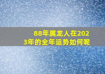 88年属龙人在2023年的全年运势如何呢