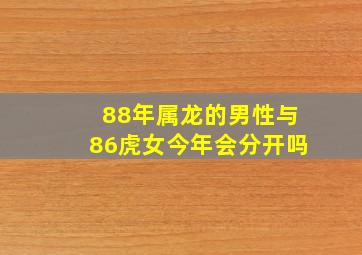 88年属龙的男性与86虎女今年会分开吗