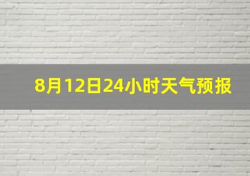 8月12日24小时天气预报