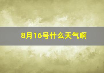 8月16号什么天气啊