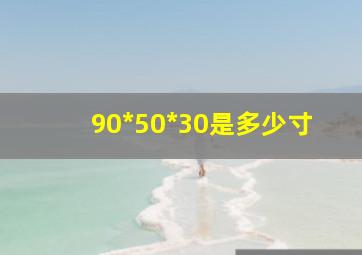 90*50*30是多少寸