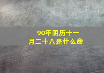 90年阴历十一月二十八是什么命