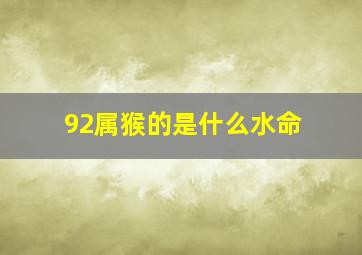 92属猴的是什么水命