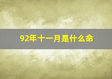 92年十一月是什么命