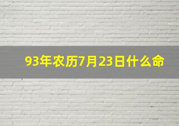 93年农历7月23日什么命