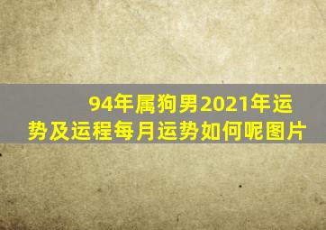 94年属狗男2021年运势及运程每月运势如何呢图片